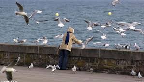 Maybe you would like to learn more about one of these? Ù†ÙˆØ±Ø³ Ø§Ù„Ø¨Ø­Ø± Photos Facebook