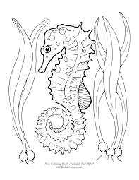 The body of a seahorse is flattened; Sea Horses Coloring Pages Coloring Home
