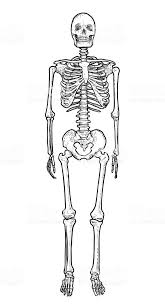 Pin On Drawing Skills