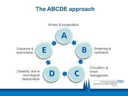 Welcome to abcde full of surprise eggs | finger family song |thomas & friends | nursery rhymes | disney | marvel and lots more. Abcde The Safe Approach To The Critically Ill Patient Ppt Video Online Download