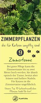 pin auf tier