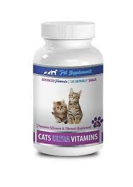 My cat can t constipation in cats petmd. Cat Immune Health Ultra Vitamins For Cats Vitamin B12 For Cats 600186176744 Ebay