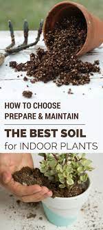 How To Choose Prepare Maintain The Best Soil For Indoor Plants Gardentipz C Choose Gardentipzc Indoor Indoor Plants Garden Soil House Plants Indoor