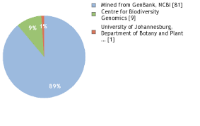 Image result for Euryops subcarnosus