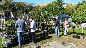 Urban roots is a community farm & education center located in southeast grand rapids, mi. Urban Roots Annual Plant Swap Buffalo Rising