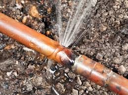 Maybe you would like to learn more about one of these? How To Bury A Garden Hose Underground Step By Step Guide Upd 2021