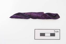 Image result for Millettia makondensis