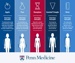 We did not find results for: What Your Body Shape Reveals About Your Health Penn Medicine