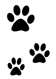 Pochoir Pattes De Chat Scrapbooking Loisirs Creatifs Et Activites Manuelles Pochoir Pattes De Chat Chat Stylise