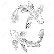 118 best koi fish free brush downloads from the brusheezy community. Hand Drawn Outline Vector Couple Of Koi Fish Royalty Free Cliparts Vectors And Stock Illustration Image 96763029