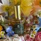 Perfume-Making Workshop with Bloom Lab