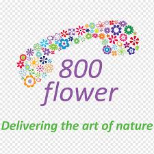 Redeem the super $10 off coupon at 1800flowers.com when you check out and witness the magic! 1 800 Flowers Flower Delivery Coupon Dubai Flower Text Logo Flower Png Pngwing