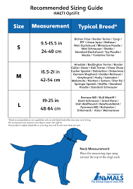 halti headcollar size chart best picture of chart anyimage org