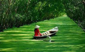 ACV UNICO cung cấp Dịch vụ Quảng cáo Sân bay