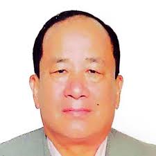 Victoria education consultancy