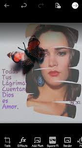 Flor Salvaje. In onore Mónica Spear • Facebook