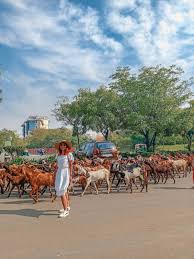 Pin On Travel Inspo Around The World