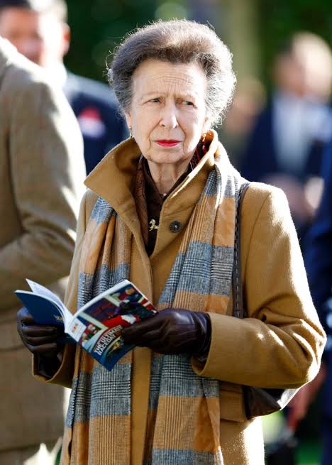Retirement 'isn't really an option' for Princess Anne in King Charles'  scandal-ridden monarchy