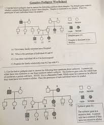 The disorder causes a lack of pigment in the skin and hair making an albino appear very pale with white hair and pale answer key to the worksheet that looks at pedigrees in families with albinism. Genetics Pedigree Worksheet 1 Use The Below Pedigree Chegg Com