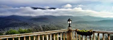 We host events for up to 20 wedding guests for the indoor venue. Smokey Mountain Wedding 865 428 6392