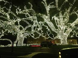 Pin On Landscape Lighting Tips