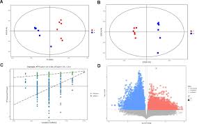 Image result for Cassia agnes