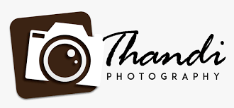 Items similar to camera logo premade logo photography logo photography logos and watermarks photographer logo on etsy. Clip Art Photography Design For Logo Camera Images Png Transparent Png Kindpng