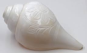 Natural Blowing Padam Shankh - Kalari Warriors