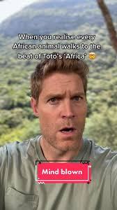 I’m officially not ok after working this out 🤯 🦁 🦒 🦏 #funny #animals  #animalsoftiktok #wildlife #adventure #africa