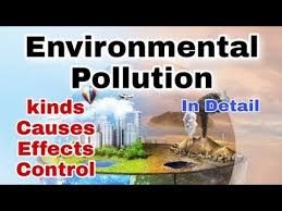 These changes could be in the physical, chemical or even biological changes. Video Environmental Pollution