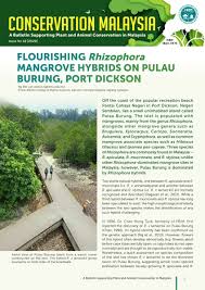 Port dickson 5km radius 1) forest reserve and recreation and cape rachado light house 2) pulau burung at pantai avillion cove is a prestigious 300 room 4 star waterfront hotel in port dickson, negeri sembilan. Conservationmalaysia Hashtag On Twitter