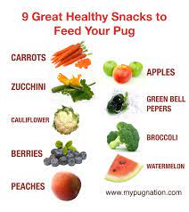 A raw food diet is also worth investigating, as this can help control a pug's allergic tendencies. 9 Healthy Treats To Feed To Your Pug Mypugnation
