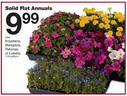Find expert advice along with how to videos and articles, including instructions on how to make, cook, grow, or do almost anything. Fred Meyer Solid Flat Annuals On Sale 9 99 Best Sale Of The Year Frugal Living Nw