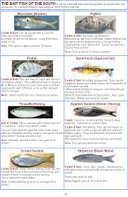 Measuring Salt Water Florida Fish Florida Fishing