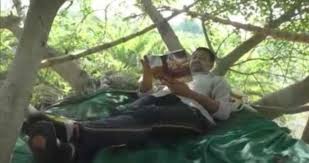 Bila tengok kat pokok tu, ada dua akar berayun laju. Bina Rumah Pokok Lari Daripada Virus Kool Fm