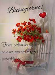 Pin Di Ana Su Saluti Misti Buongiorno Auguri Di Buon Compleanno Buongiorno Fiori