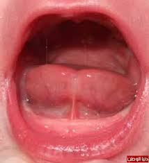 كما يتم تصنيف هذا المحتوى على شكل أقسام رئيسية تتفرع إلى أقسام فرعية أخرى، وهي Ù…Ø±ÙƒØ² Ø§Ù„Ø£Ù…ÙˆÙ…Ø© ÙˆØ§Ù„Ø·ÙÙˆÙ„Ø© ÙÙŠ Ø§Ù„Ø´Ø§Ø±Ù‚Ø© ÙŠØ´Ø§Ø±Ùƒ ÙÙŠ Ø§Ù„Ù…Ø¤ØªÙ…Ø± Ø§Ù„Ø¹Ø§Ù„Ù…ÙŠ Ø§Ù„Ø«Ø§Ù†ÙŠ Ø­ÙˆÙ„ Ø§Ù„Ù„Ø³Ø§Ù† Ø§Ù„Ù…Ø±Ø¨ÙˆØ· Ø¯Ù†ÙŠØ§ Ø§Ù„ÙˆØ·Ù†