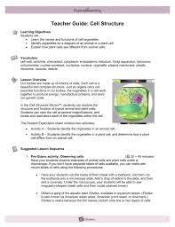 From now on, fill out meiosis gizmo answer key pdf from your home, place of work, and even while on the go. Activity B Plant Cells Gizmo Answers Cell Division Gizmo Answer Key Activity A Answer Key To Meiosis Worksheets