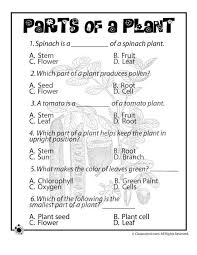 3rd Grade Science Plants Worksheets Google Search Free Science Worksheets Science Worksheets Science Lessons