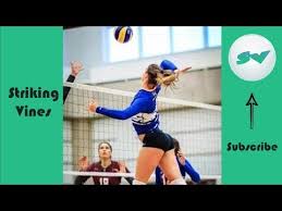 This channel is from sport vines 4u.official merchandise: Video Sports Vines