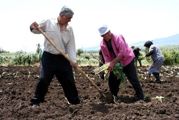 OLTRE 73 MILIONI DI EURO AGLI AGRICOLTORI ITALIANI