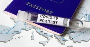 Coming exactly a year after israel's first documented coronavirus case, sunday's easing of curbs was part of a government plan to open the economy more. Vaccine Passport To Travel During The Covid 19 Outbreak