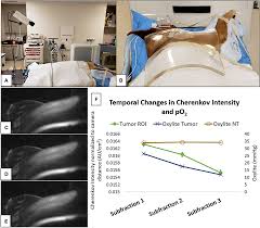 This form of cancer can only be after high doses of chemotherapy medications to destroy the bone marrow, the harvested stem cells are. Frontiers Emerging Translational Opportunities In Comparative Oncology With Companion Canine Cancers Radiation Oncology Oncology
