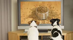 Over two million songs, ad free. Votre Chien S Ennuie Abonnez Le A Dog Tv Capital Fr