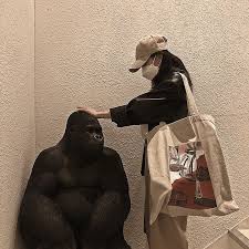 Jual boneka monyet couple 33cm kab bogor angel boneka tokopedia. 99 9 Di 2021 Gambar Kucing Lucu Gambar Teman Seni Modern