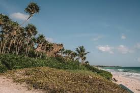 We did not find results for: Getting From Cancun To Tulum Everything You Need To Know Live Like It S The Weekend
