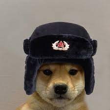 Dog Wif Hat Soviet Dog Wif Hat Dog With Hat Dog With Hat Pfp
