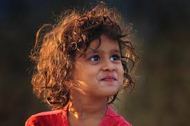 Exhibition Catalogue