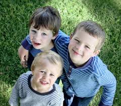 Welcome to prevention pest control. Dacula Ga Pest Control Expest Exterminating Pest Control Dacula Ga