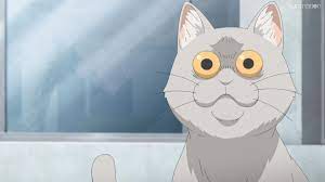 uzaki chan wa asobitai - What's up with this cat? - Anime & Manga Stack  Exchange